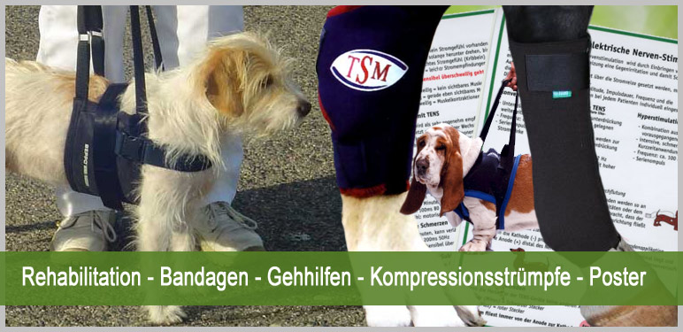 Pet Physio Fachhandel für Tierphysiotherapie
